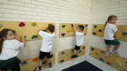 wall